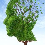 Drug-Related Memory Loss: Prevention and Treatment Guide