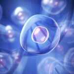 Understanding Stem Cell Therapy for Anti-Aging: A Complete Guide